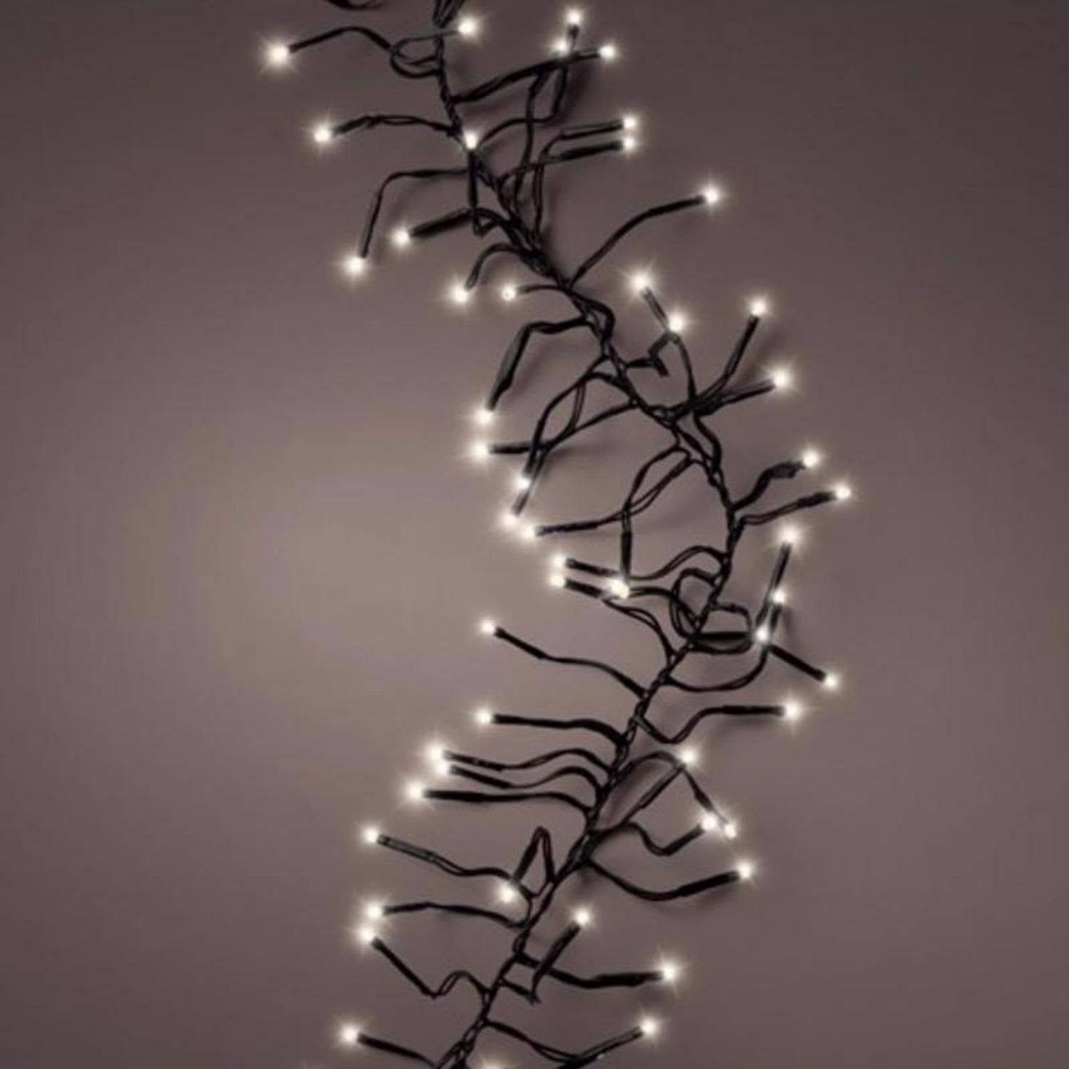 Celebrations - 9922036 - Gold LED Rice Compact Warm White 250 ct String Christmas Lights 20.5 ft - Product image 1